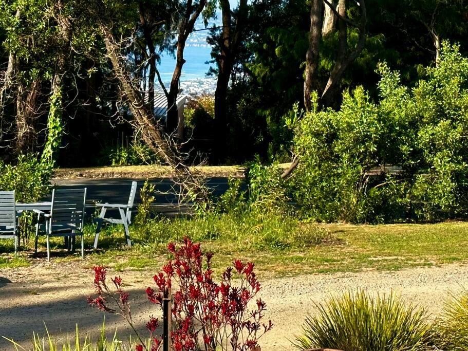 Arthurs Seat Cottage - Sulla Collina المظهر الخارجي الصورة